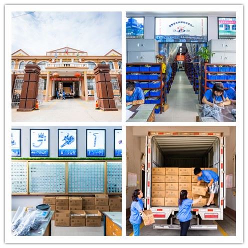 company information company information