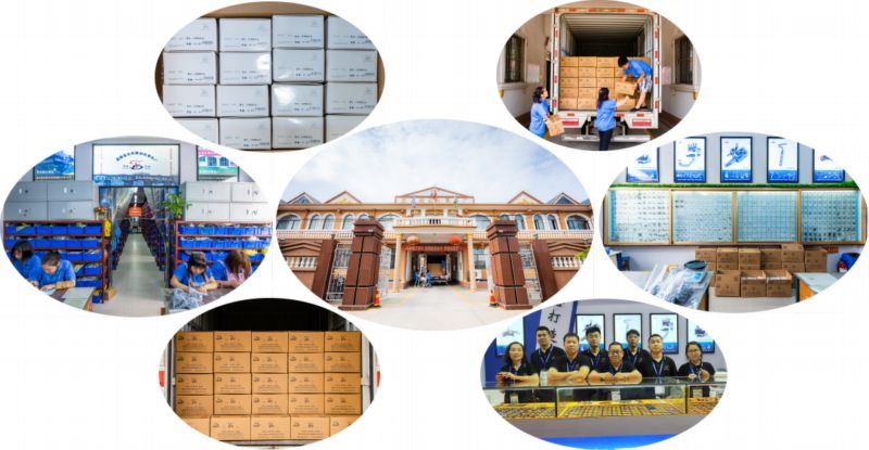 company information(001) company information(001)