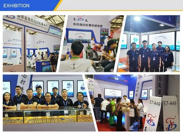 product-600-447 exhibition