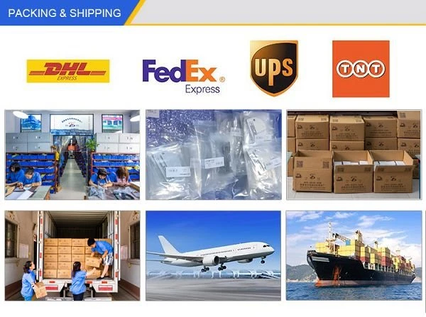 product-600-447 shipping