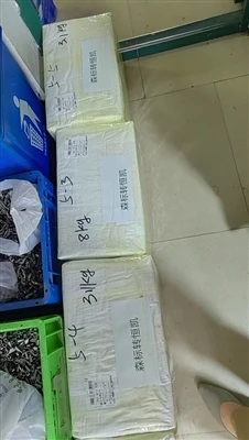 Delivery Goods To Italy